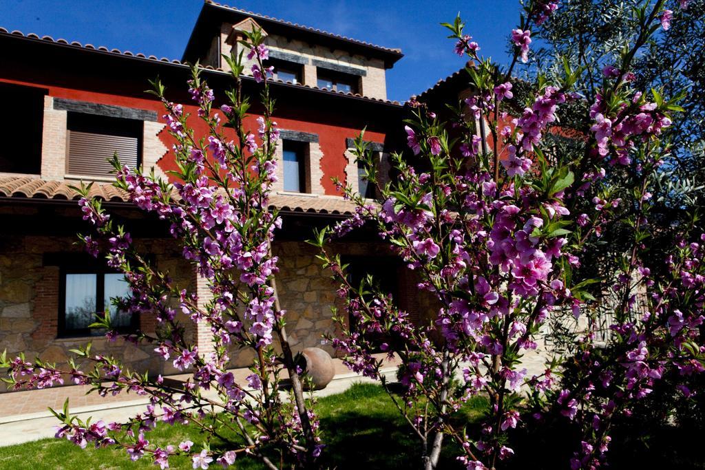 Casa Rural La Canchalera 로사르 드 라 베라 외부 사진